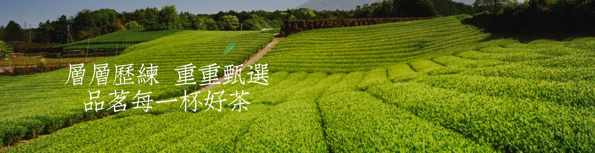 公司簡(jiǎn)介